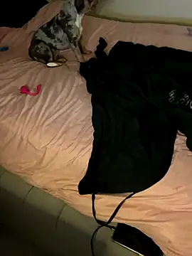 UKSYDNEYFOX online show from 10-14-25, 01:06