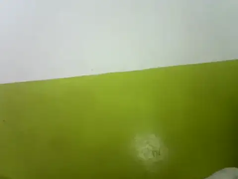 Snapshot of Claris2 chatting on 02-25-25, 07:14 Claris2 online show from 02-25-25, 07:14