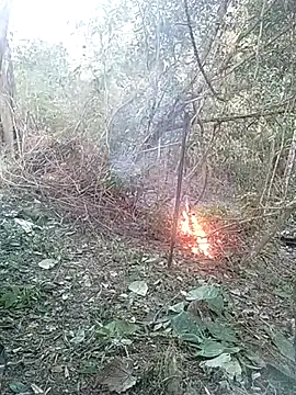 andreu mature online show from 02-26-25, 10:42