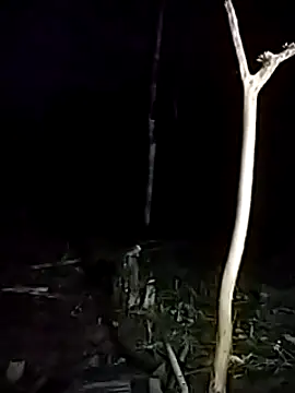 andreu mature online show from 03-17-25, 11:43