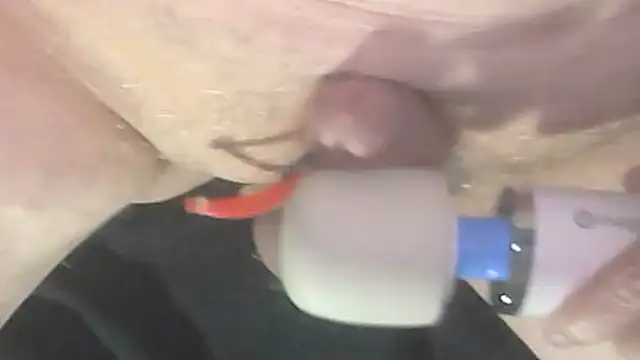 trittico online show from 10-09-25, 01:47