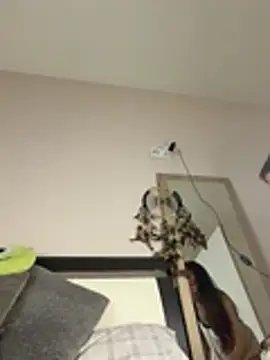 SOFIASWEETSECRETT online show from 03-28-26, 04:28