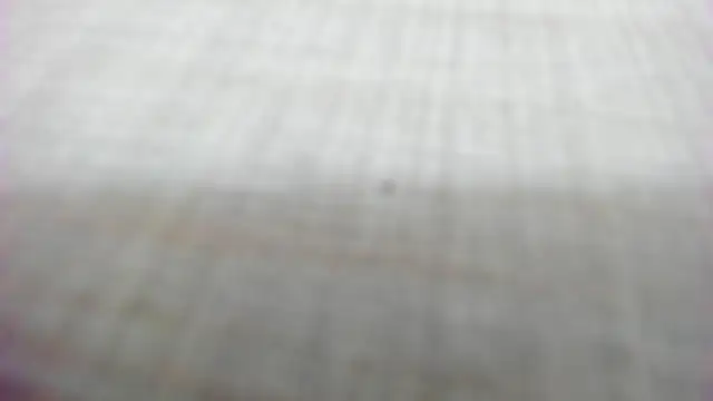 AishaRouhi online show from 02-14-26, 05:26