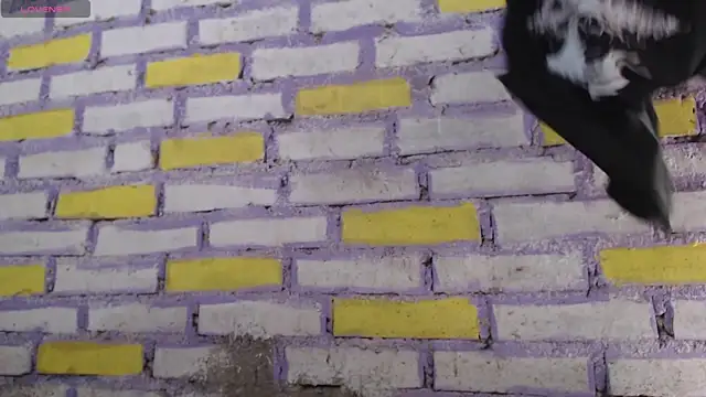 Lukas strong online show from 11-08-25, 02:06