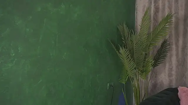 FoxieJullia online show from 02-19-25, 08:01