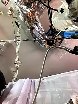 gurlnips online show from 11-26-25, 06:25