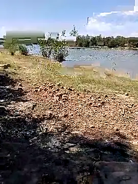 BaseDick online show from 09-24-25, 10:07