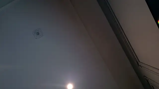 Liv Fay online show from 12-28-24, 02:10