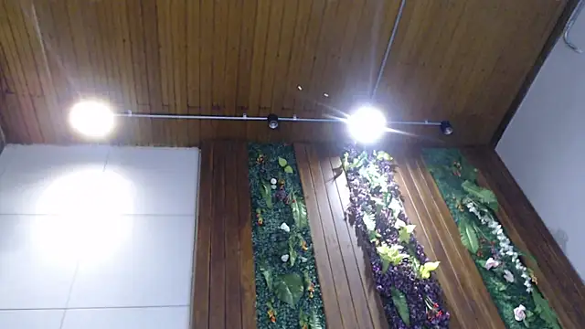 DrakeNeumann online show from 02-05-25, 11:06