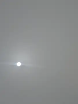 Snapshot of Massa8 chatting on 03-22-25, 06:58 Massa8 online show from 03-22-25, 06:58