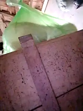 Hotpussy3ox online show from 12-20-25, 03:13