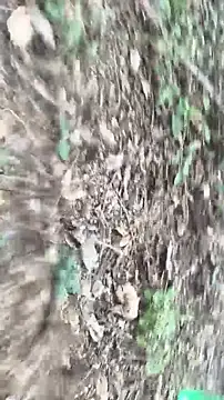 lustboyX online show from 04-05-26, 09:39