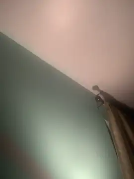 longhairjim online show from 02-09-25, 07:49