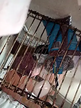 LunaDrago online show from 02-23-25, 12:51