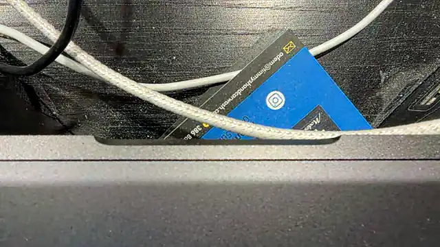 Snapshot of TinyTraps chatting on 12-17-24, 02:11 TinyTraps online show from 12-17-24, 02:11