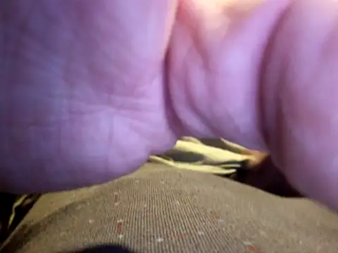 stavroun online show from 12-23-25, 04:10