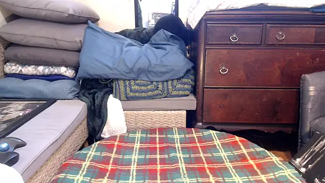 ladyscarlotta online show from 02-08-25, 09:36