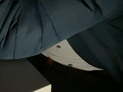 Snapshot of tomazu11 chatting on 10-26-25, 06:30 tomazu11 online show from 10-26-25, 06:30