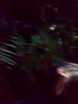 mis312 online show from 03-05-25, 02:36