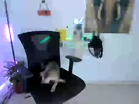 nairobbits online show from 10-09-25, 01:09