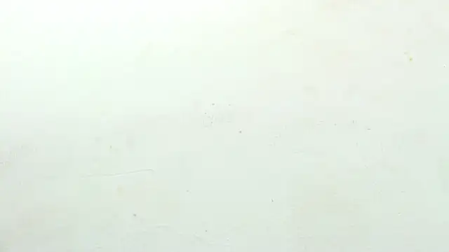 sinay024 online show from 02-27-26, 08:03