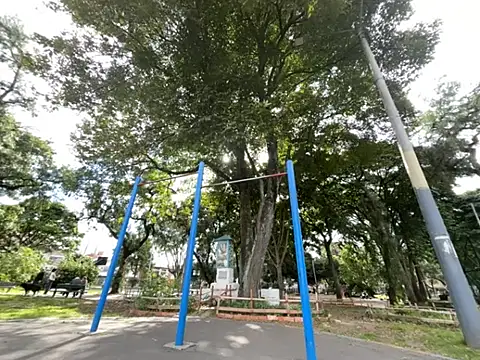 Siriss boyrag online show from 02-20-26, 08:53