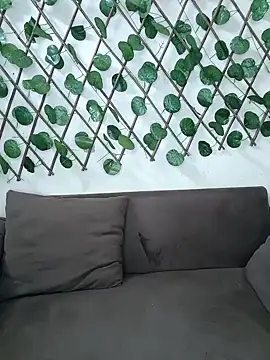 Bold-Cat online show from 11-20-25, 04:51