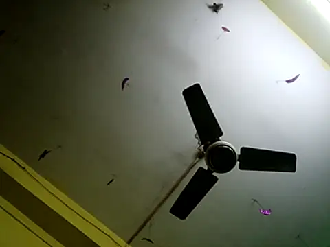 Sexyranibhabhi online show from 12-14-25, 02:17