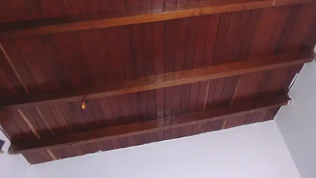 Amara Red online show from 09-13-25, 03:01