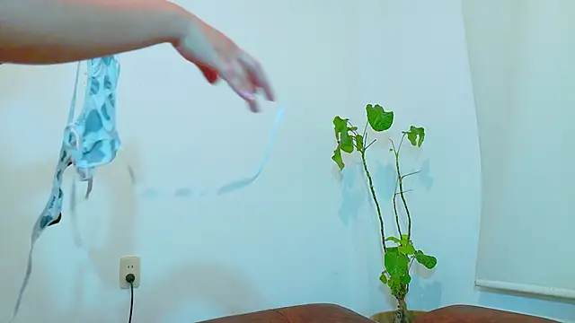 clydexxxbunny online show from 12-07-24, 06:48