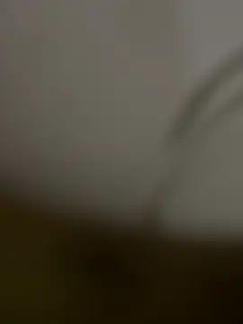 Snapshot of pietro89 chatting on 05-31-26, 08:43 pietro89 online show from 05-31-26, 08:43