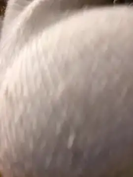 Snapshot of Giuliana_baby chatting on 03-10-25, 09:21 Giuliana baby online show from 03-10-25, 09:21