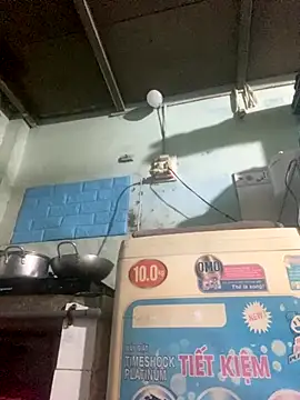 Ly Coca24 online show from 10-30-25, 05:31