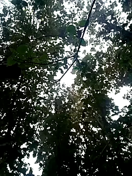 Snapshot of Fucker_boy_1 chatting on 01-19-25, 03:50 Fucker boy 1 online show from 01-19-25, 03:50