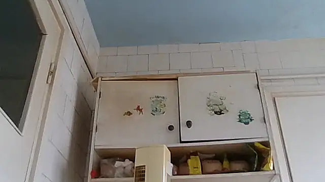 Snapshot of mariusica1@xh chatting on 02-19-26, 01:51 mariusica1xh online show from 02-19-26, 01:51