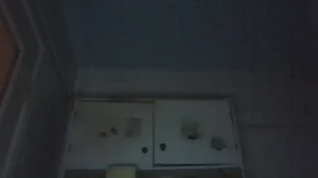 Snapshot of mariusica1@xh chatting on 07-21-26, 11:40 mariusica1xh online show from 07-21-26, 11:40