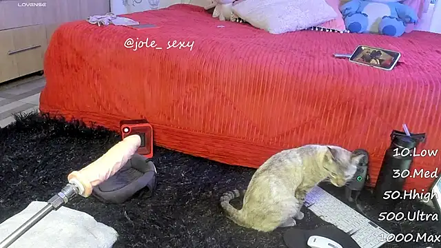 Snapshot of jolee__ chatting on 01-10-25, 06:31 jolee online show from 01-10-25, 06:31