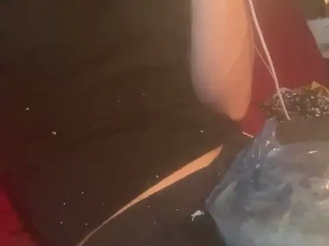 skatebored online show from 01-26-25, 04:51