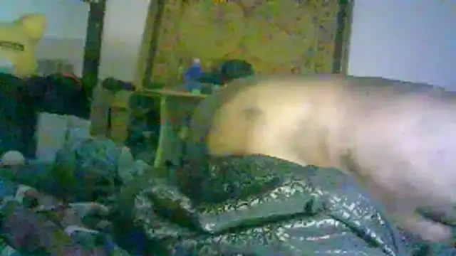 DI4MOND FIR3 online show from 02-02-26, 12:48