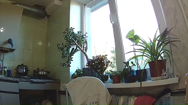 Snapshot of BroadFantasy chatting on 09-11-25, 01:22 BroadFantasy online show from 09-11-25, 01:22