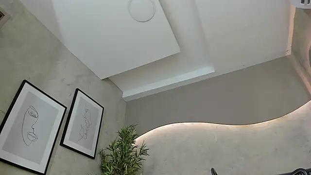 Will Hendrix online show from 01-15-25, 05:58