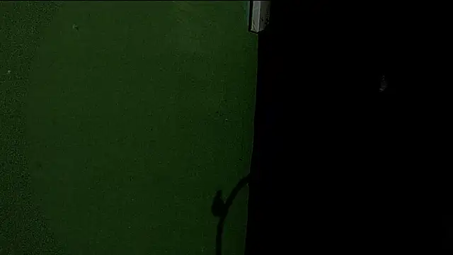 Deleon1995 online show from 01-02-25, 04:52