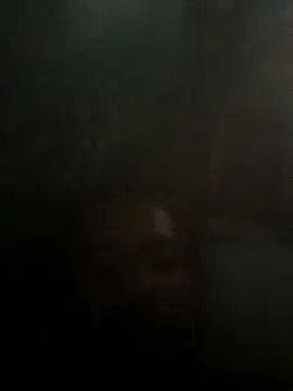 taylorWiiz online show from 10-16-25, 05:36