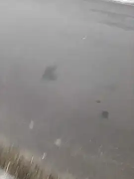 BRUNNA online show from 03-20-25, 03:34