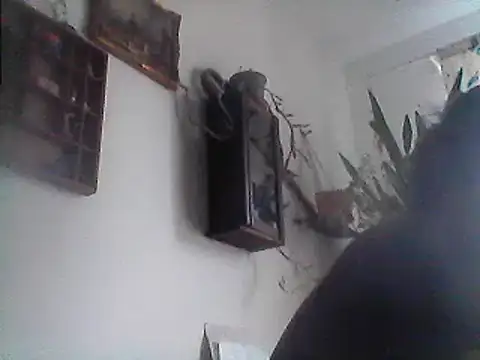 Snapshot of Bigpenis6y chatting on 12-29-24, 01:17 Bigpenis6y online show from 12-29-24, 01:17