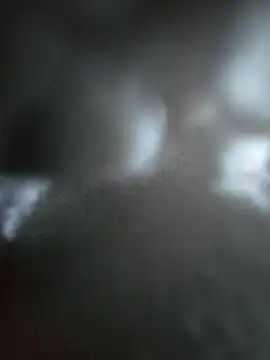 hungarian dick online show from 10-19-25, 10:38