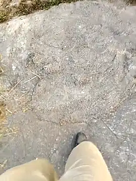 Snapshot of Ishan003 chatting on 02-05-26, 01:32 Ishan003 online show from 02-05-26, 01:32