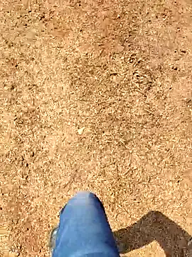 Snapshot of Ishan003 chatting on 02-08-26, 05:22 Ishan003 online show from 02-08-26, 05:22