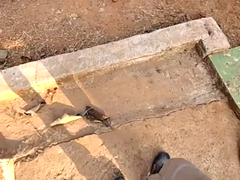 Snapshot of Ishan003 chatting on 02-15-26, 10:36 Ishan003 online show from 02-15-26, 10:36