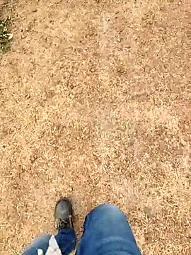 Snapshot of Ishan003 chatting on 03-06-26, 03:03 Ishan003 online show from 03-06-26, 03:03